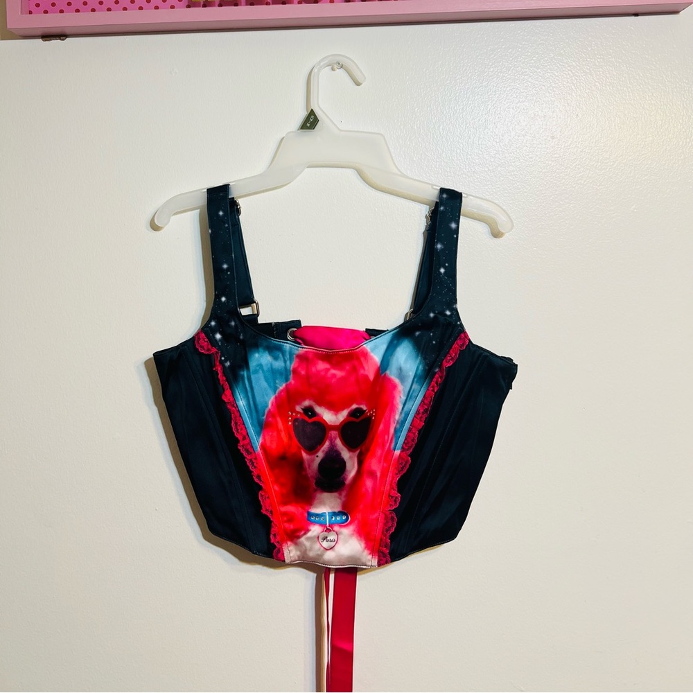 This beautiful corset is from dollskill brand and is sold out.